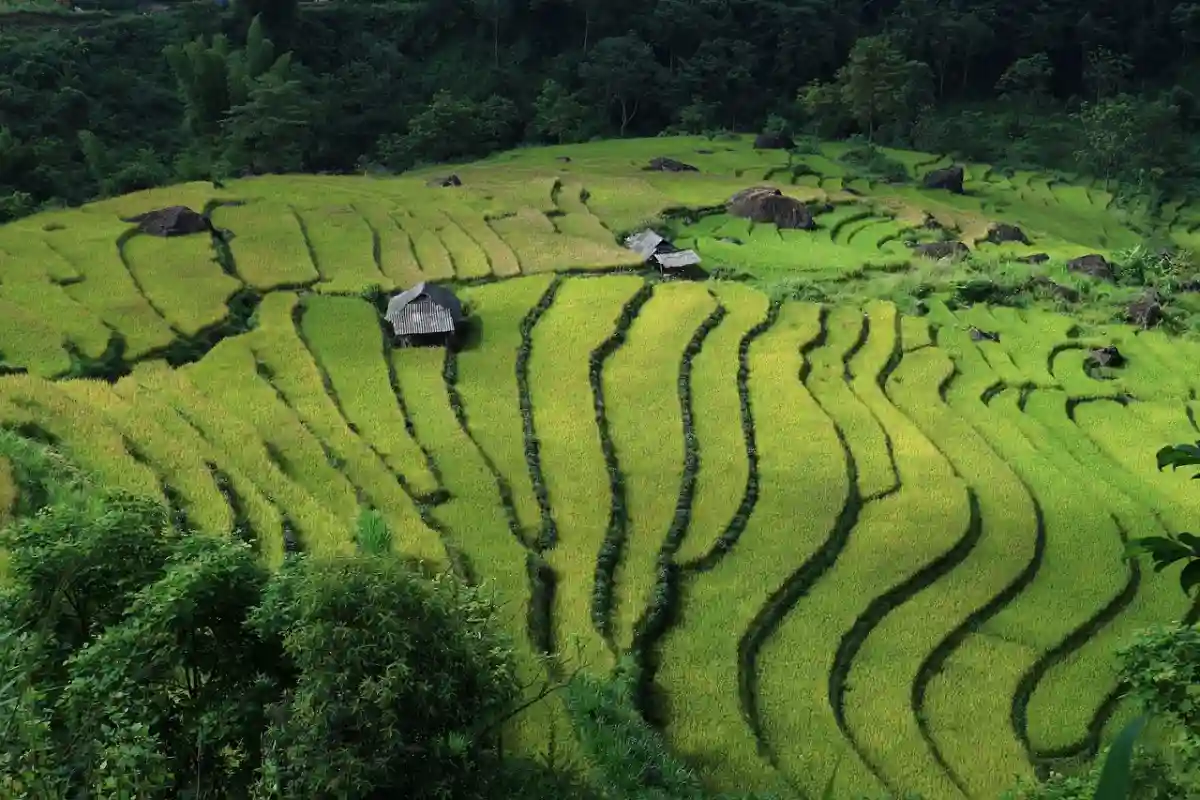 Vietnam Business & Tourist eVisa Guide 2025