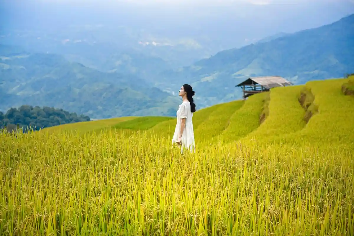 Vietnam eVisa Guide: Application Process and Entry Rules Explained